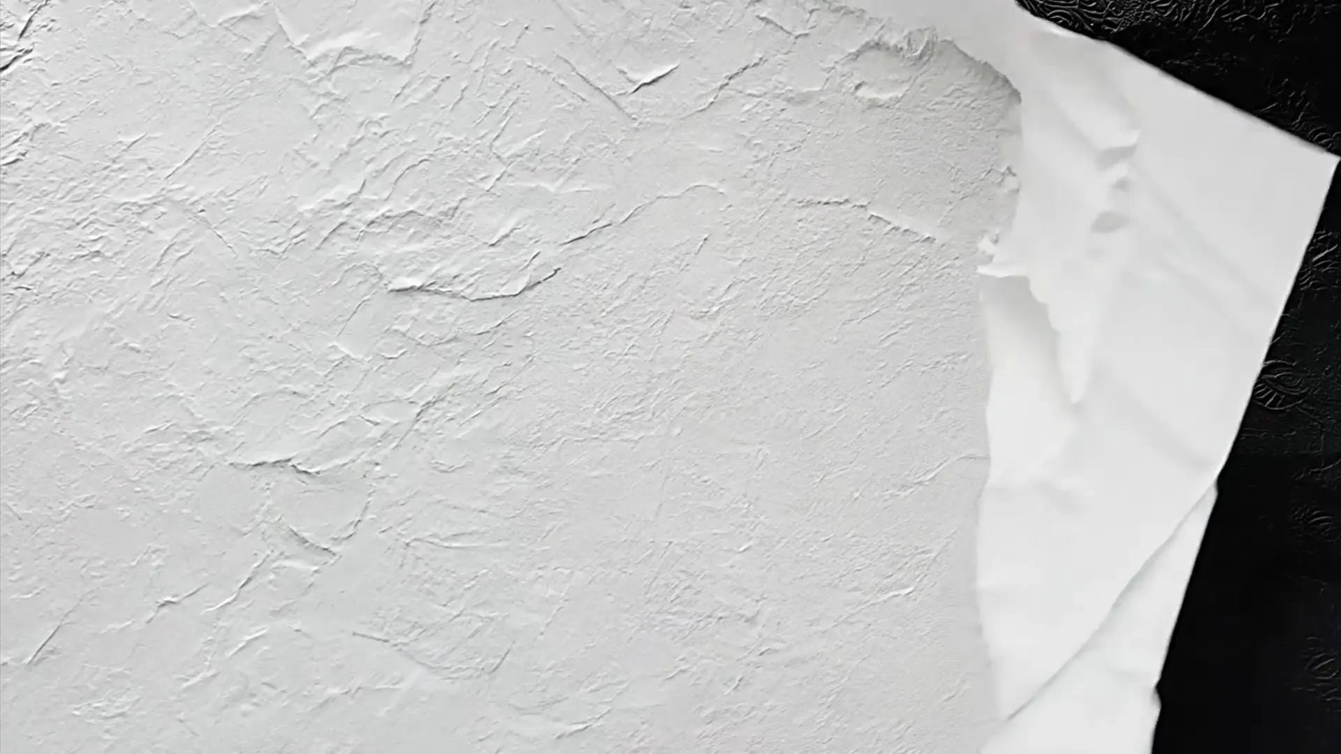 Torn Paper Reveal Transition for Logo Animation Projects